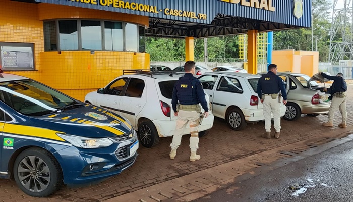 Polícia Rodoviária Federal apreende 730 quilos de maconha em ações distintas em menos de uma hora